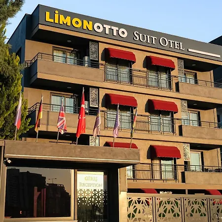 Limonotto